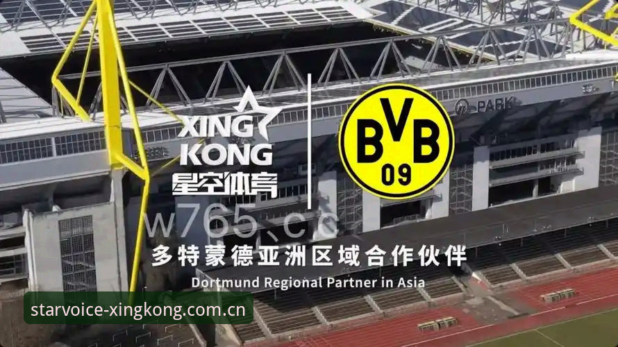 星空体育官网 vs 替代站之争：老用户实测新版星空XINGKONG赛事数据替代站，看看值不值得换