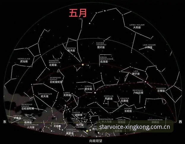 星空体育官网赛事数据替代站横向评测：谁更懂你想要的实时与流畅？
